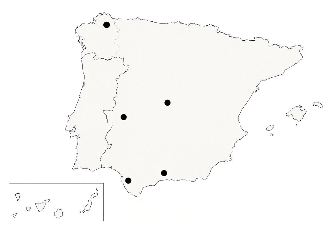Agencia transdisciplinar